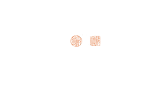 導入施設ロゴ12